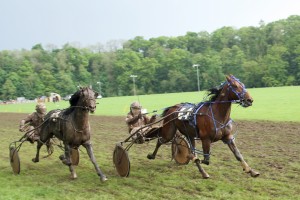 Appleby Spring Final 2014