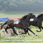 Forafewdollarsmore - Ceredigion 2013