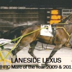 Laneside Lexus