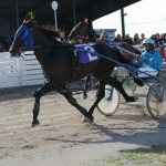 Rhyds Five Star - Sire Stakes 2010 @ York