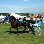 Rhyds Five Star - BHRC Derby at Ceredigion