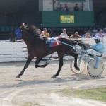 Rhyds Five Star - York 3YO Championship