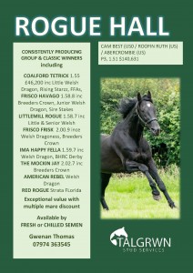 rogue hall Advert BHRC 2021[53604]