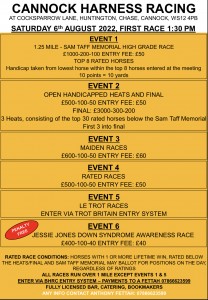 Cannock Races Poster